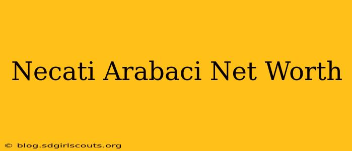 Necati Arabaci Net Worth