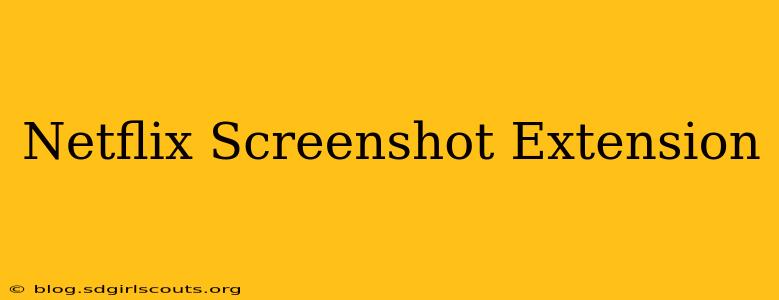 Netflix Screenshot Extension