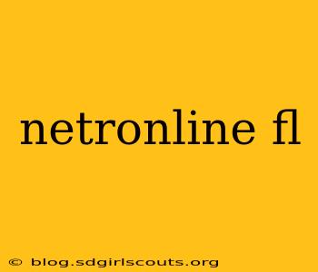 netronline fl