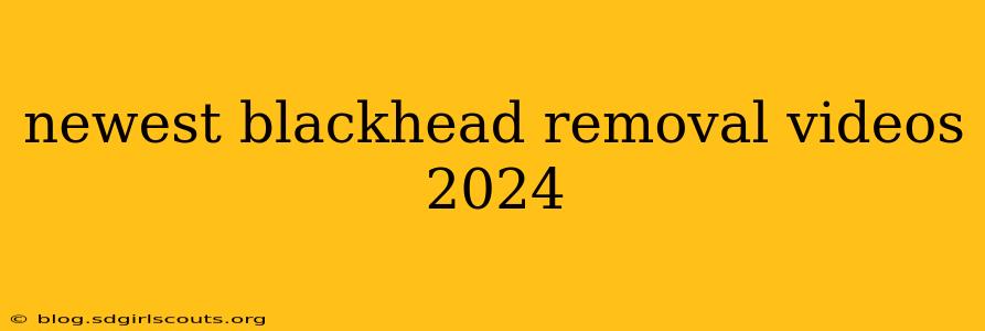 newest blackhead removal videos 2024