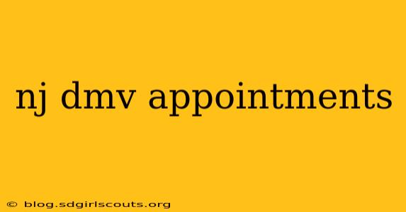 nj dmv appointments