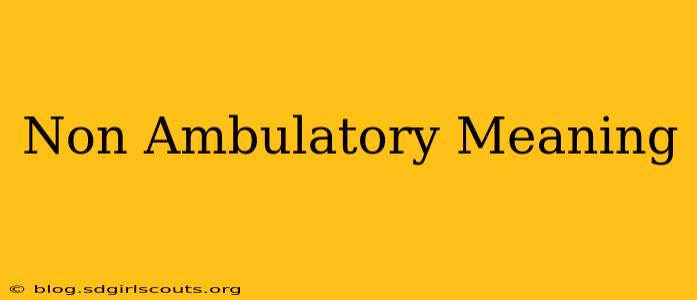 Non Ambulatory Meaning