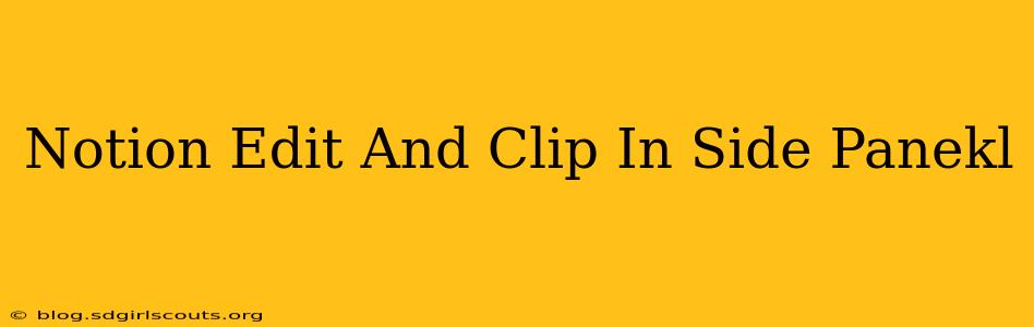 Notion Edit And Clip In Side Panekl