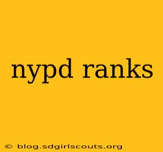 nypd ranks