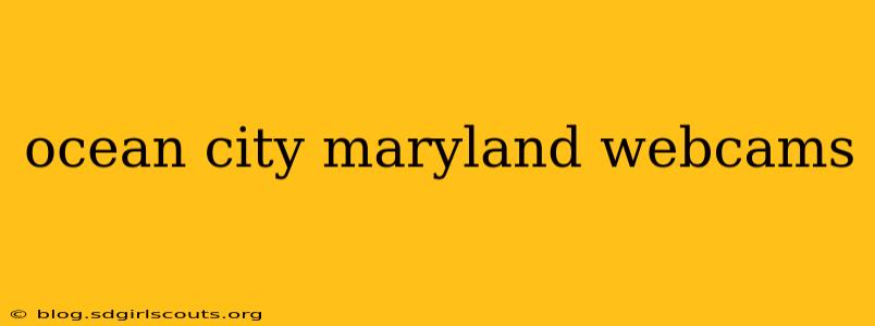 ocean city maryland webcams