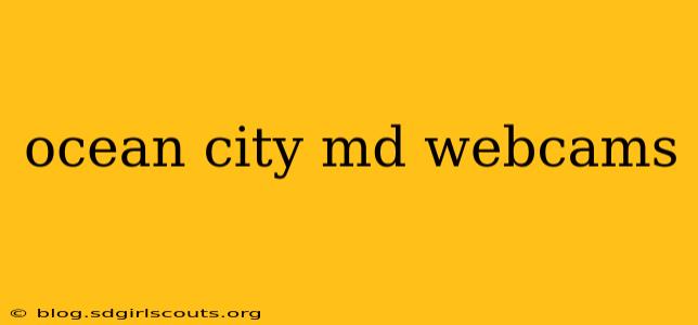 ocean city md webcams