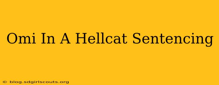 Omi In A Hellcat Sentencing