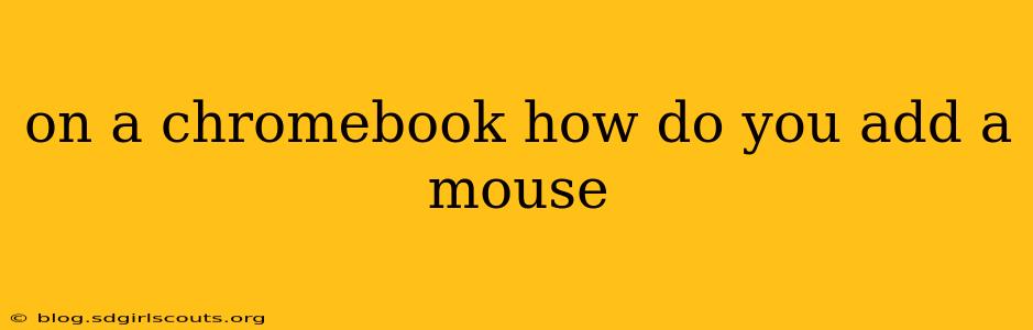 on a chromebook how do you add a mouse