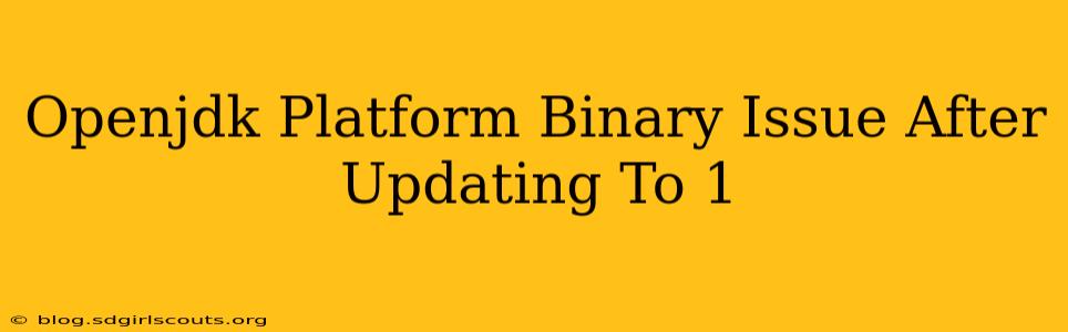 Openjdk Platform Binary Issue After Updating To 1