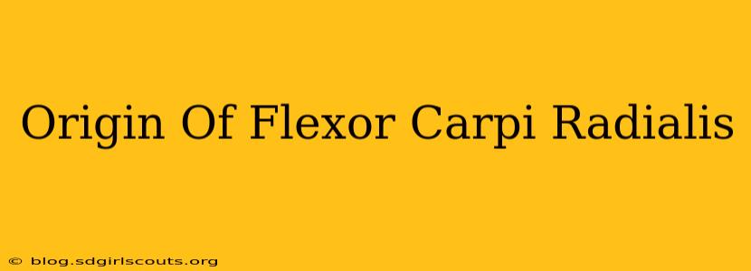 Origin Of Flexor Carpi Radialis