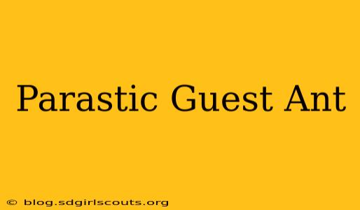 Parastic Guest Ant