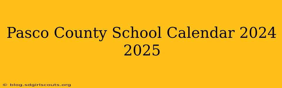 Pasco County School Calendar 2024 2025