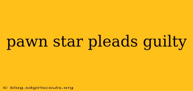 pawn star pleads guilty