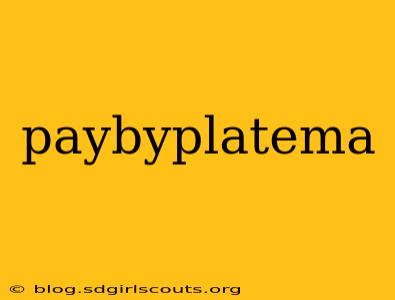 paybyplatema