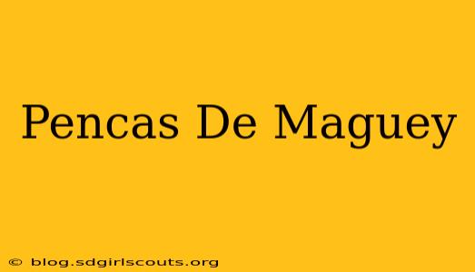 Pencas De Maguey
