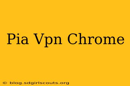 Pia Vpn Chrome