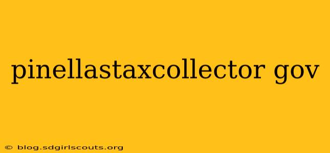 pinellastaxcollector gov