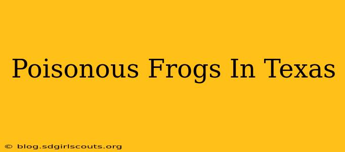 Poisonous Frogs In Texas