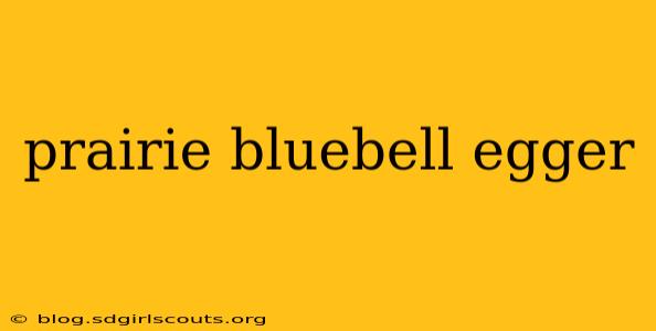 prairie bluebell egger