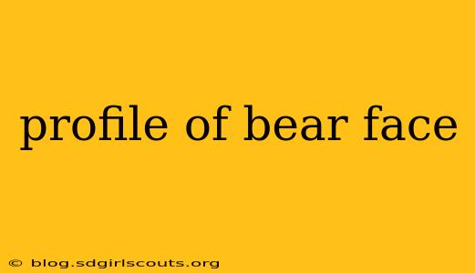 profile of bear face