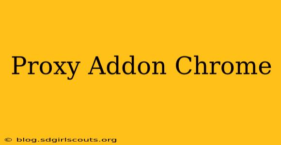 Proxy Addon Chrome