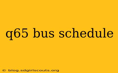 q65 bus schedule