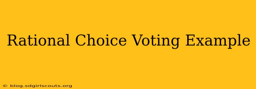 Rational Choice Voting Example