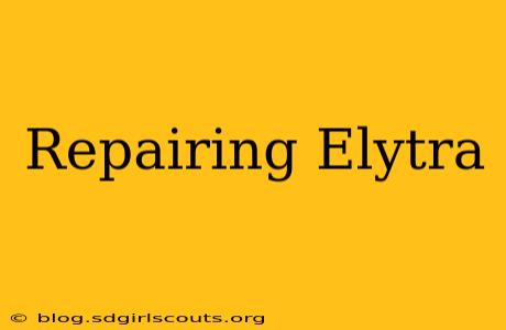 Repairing Elytra