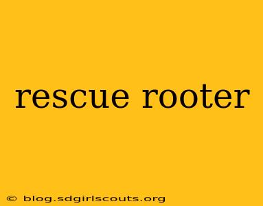 rescue rooter