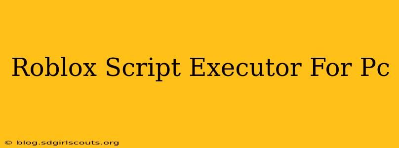 Roblox Script Executor For Pc