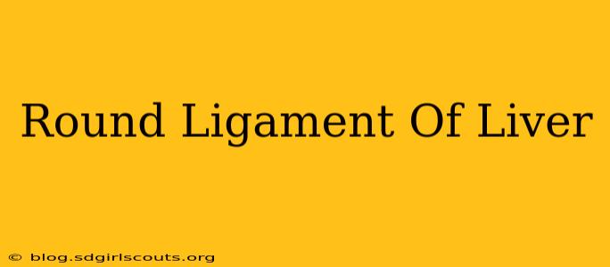 Round Ligament Of Liver