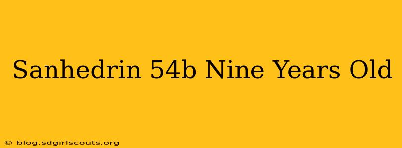 Sanhedrin 54b Nine Years Old
