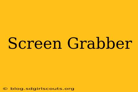 Screen Grabber