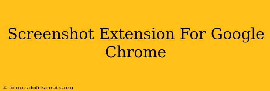 Screenshot Extension For Google Chrome