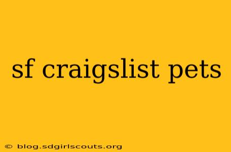 sf craigslist pets