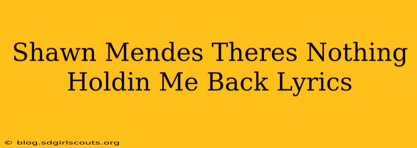 Shawn Mendes Theres Nothing Holdin Me Back Lyrics