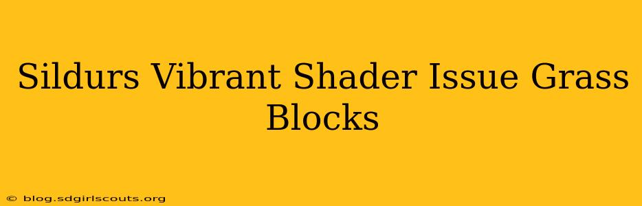 Sildurs Vibrant Shader Issue Grass Blocks