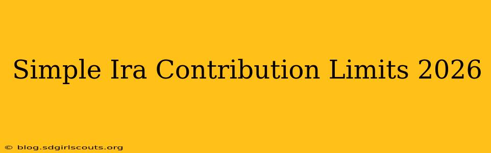 Simple Ira Contribution Limits 2026