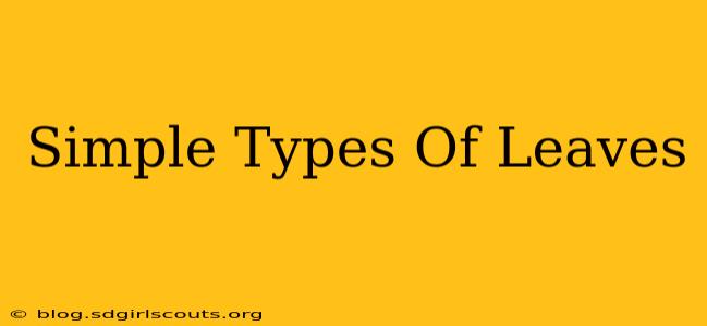 Simple Types Of Leaves