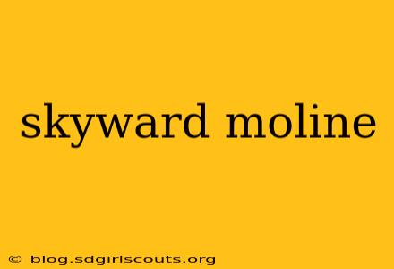 skyward moline