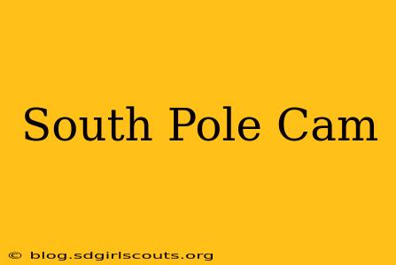 South Pole Cam