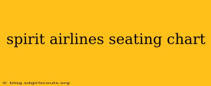 spirit airlines seating chart