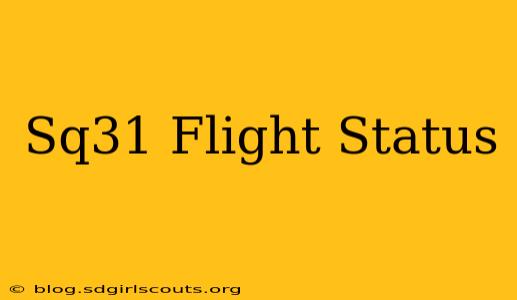 Sq31 Flight Status