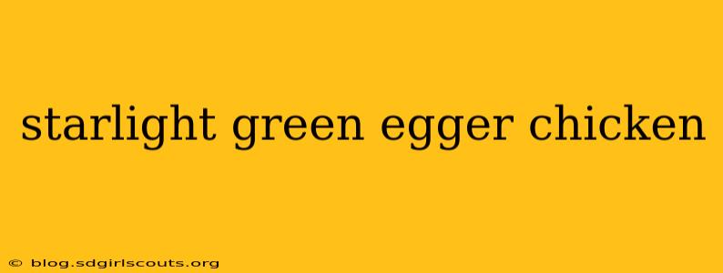 starlight green egger chicken
