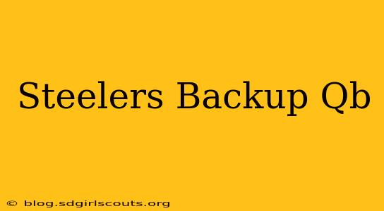 Steelers Backup Qb