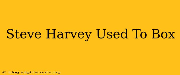Steve Harvey Used To Box