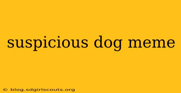 suspicious dog meme