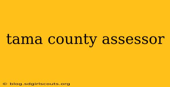 tama county assessor