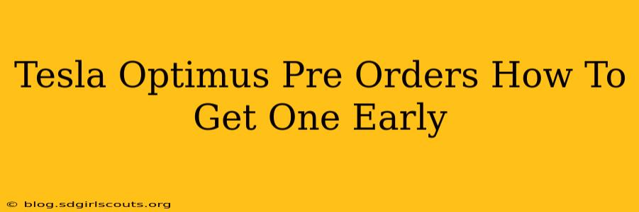 Tesla Optimus Pre Orders How To Get One Early