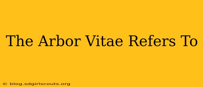 The Arbor Vitae Refers To